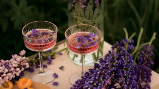 Purple Garden Lupin Flowers in Vase and Glasses of Drink