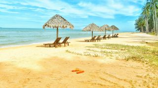 Loungers Under Parasol at Shoreline