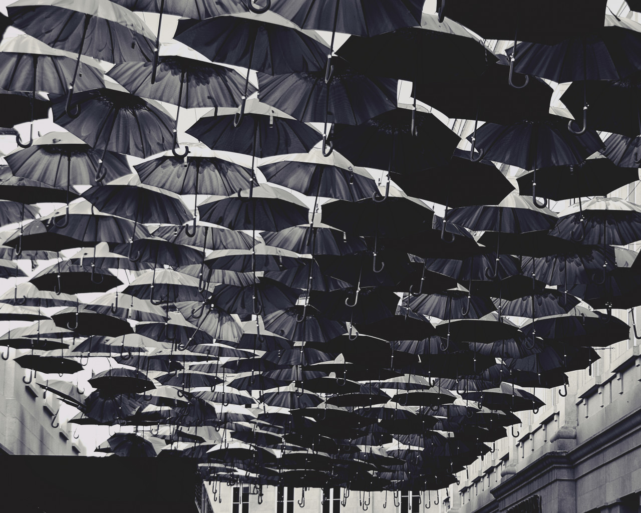 Umbrellas