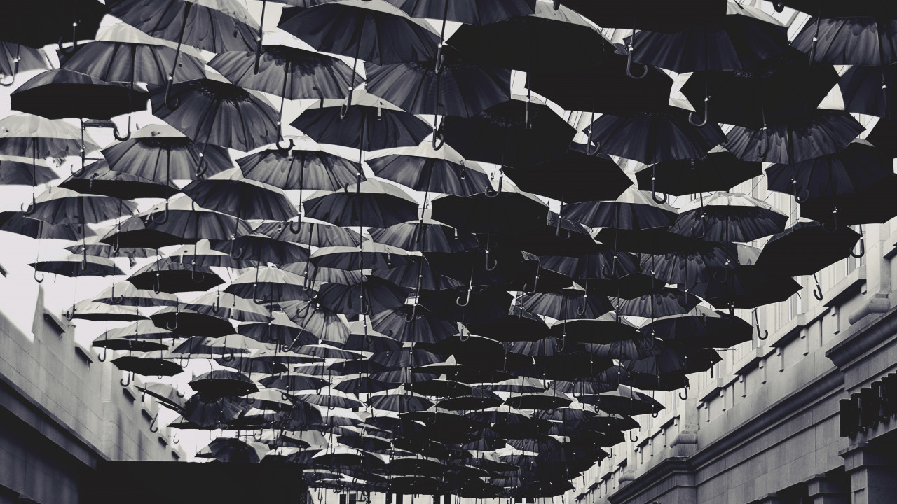 Umbrellas