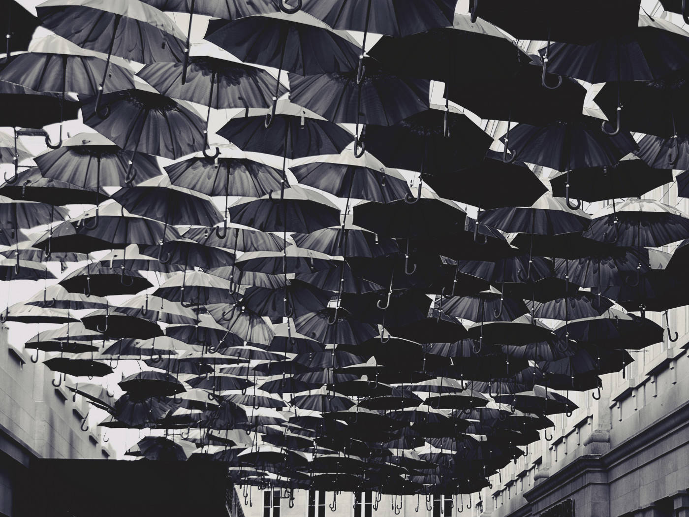 Umbrellas