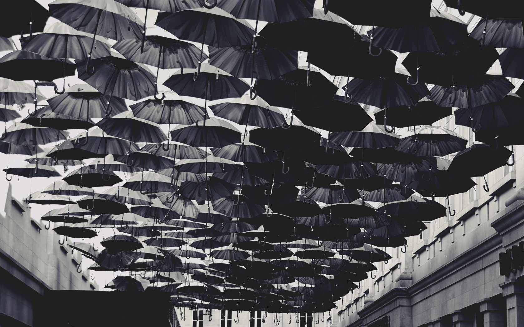 Umbrellas