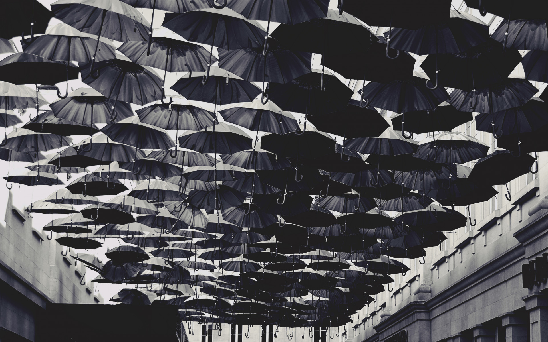 Umbrellas