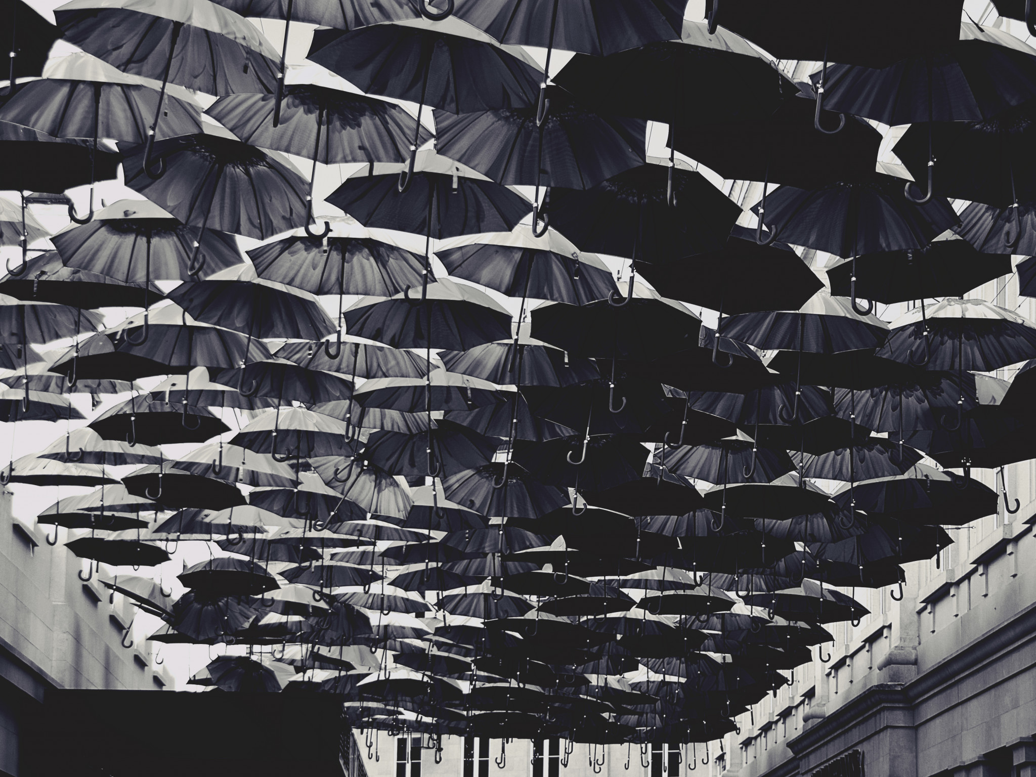 Umbrellas