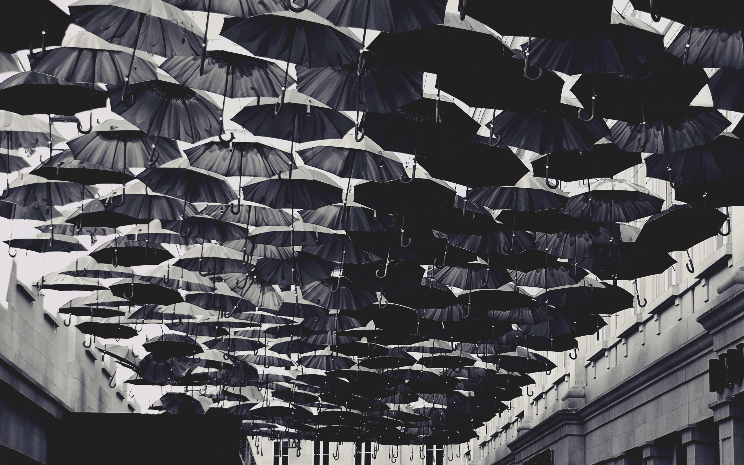 Umbrellas