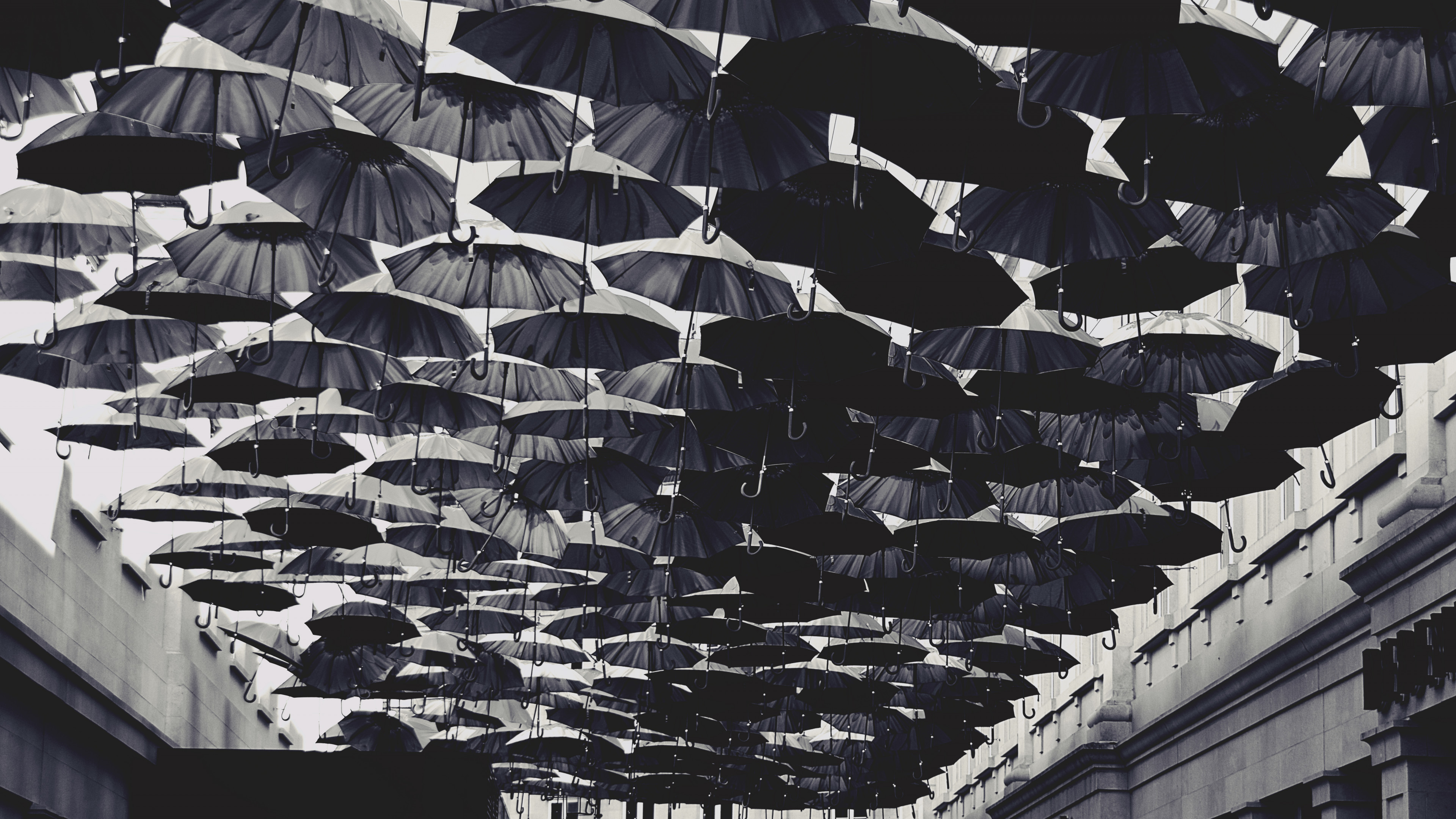 Umbrellas