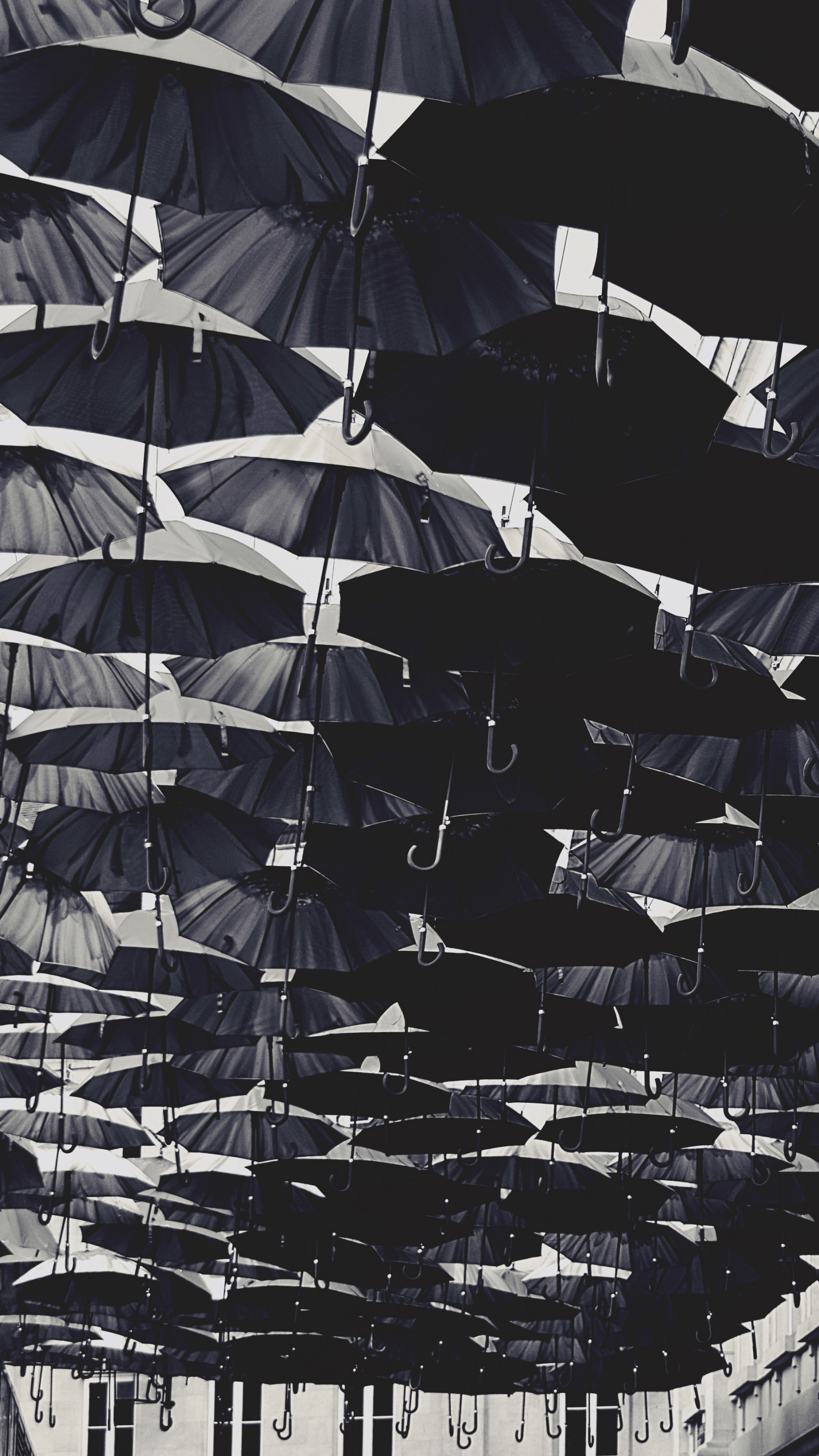 Umbrellas