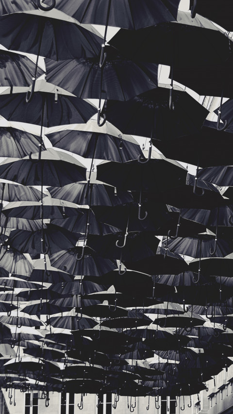 Umbrellas
