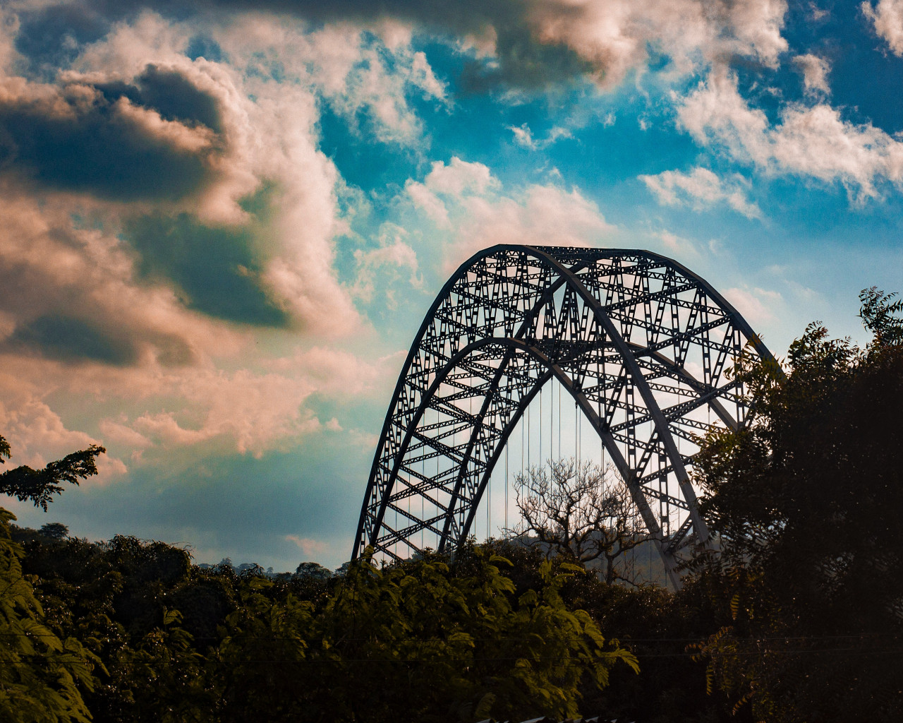 Steel Structure On Forest