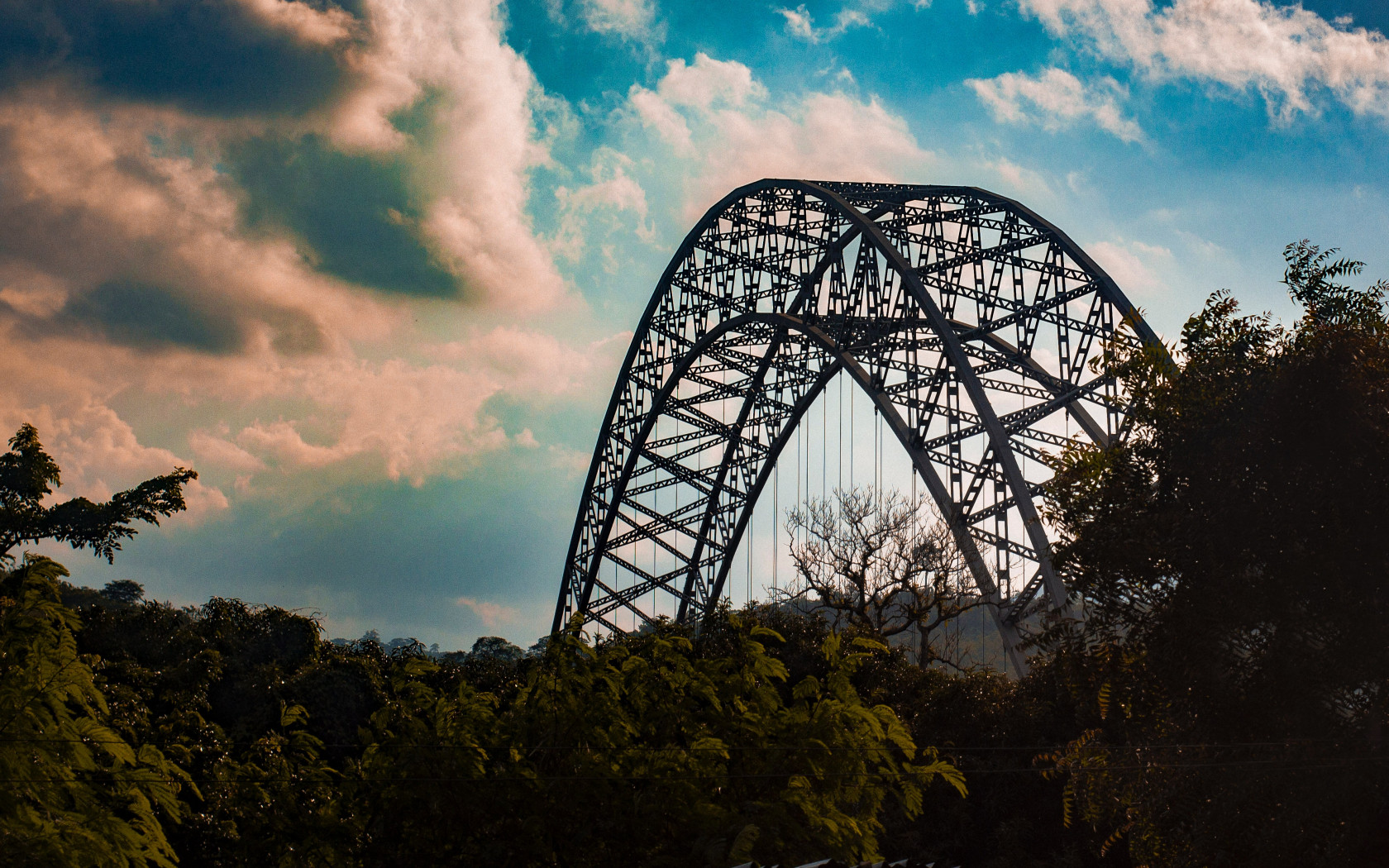 Steel Structure On Forest