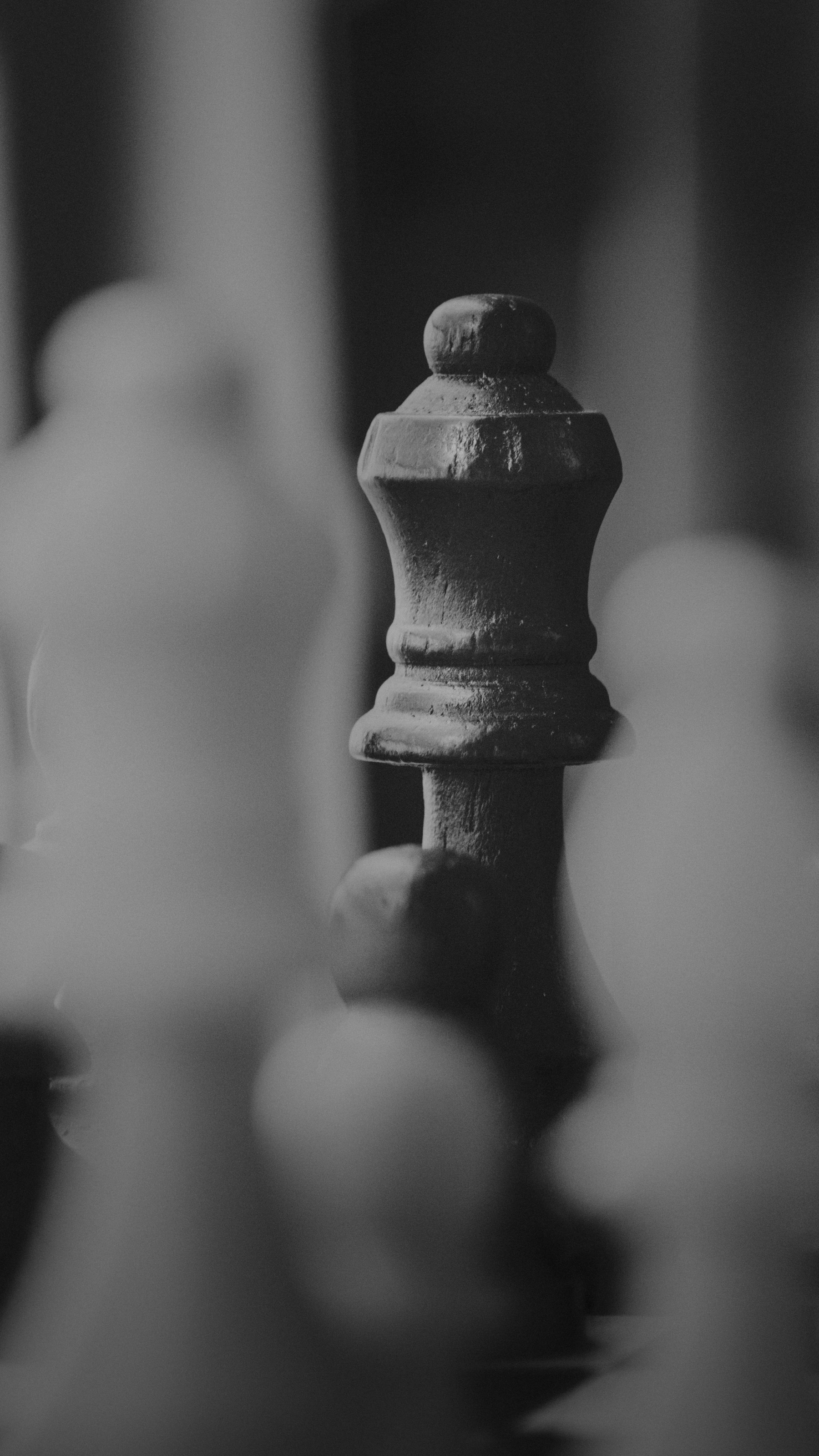 Chessboard Pieces