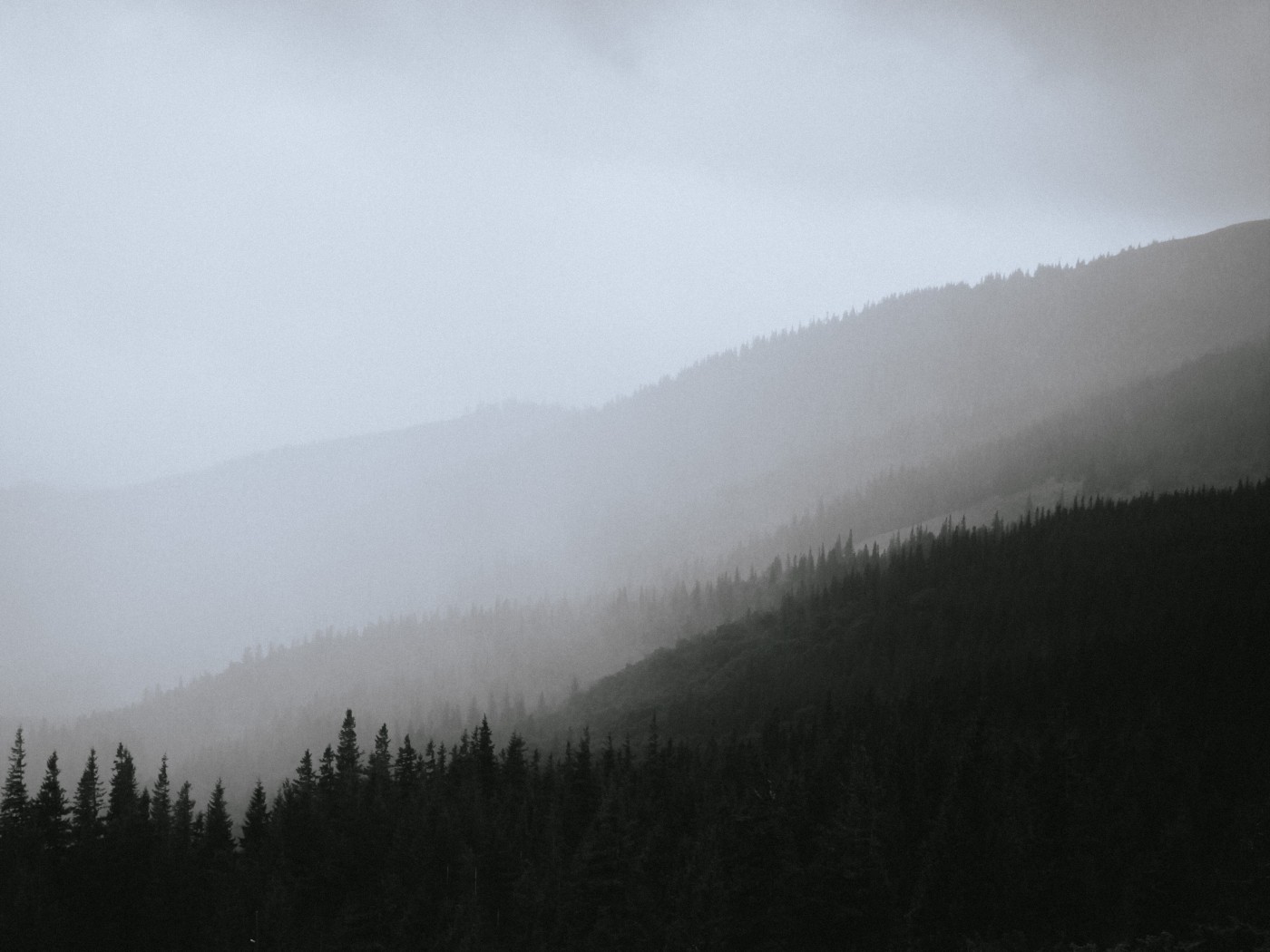 Foggy Mountains