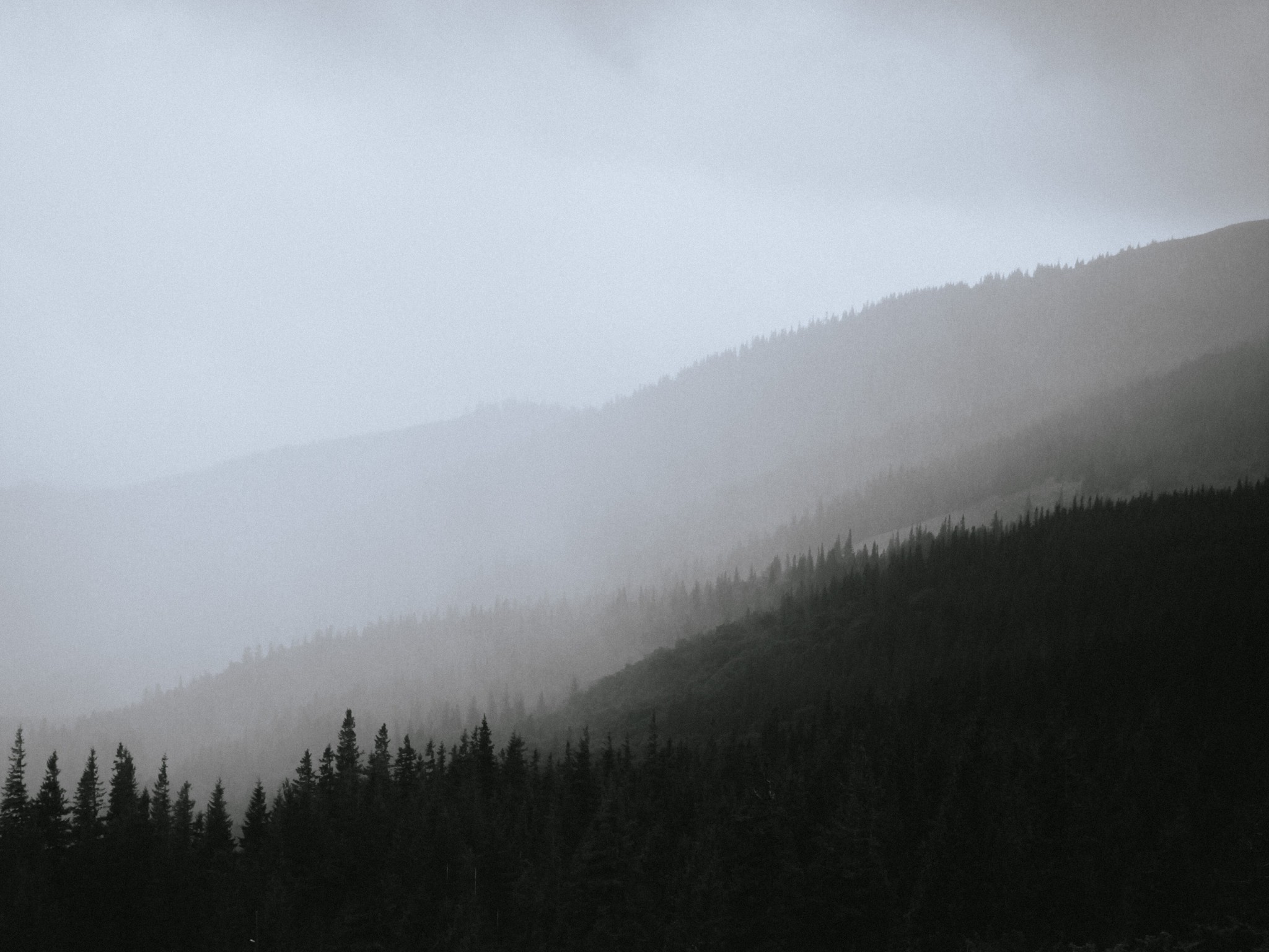 Foggy Mountains