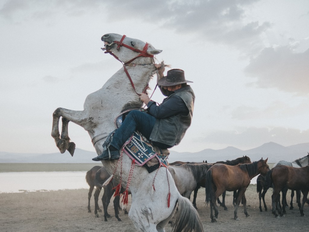 Cowboy on Rearing Horse