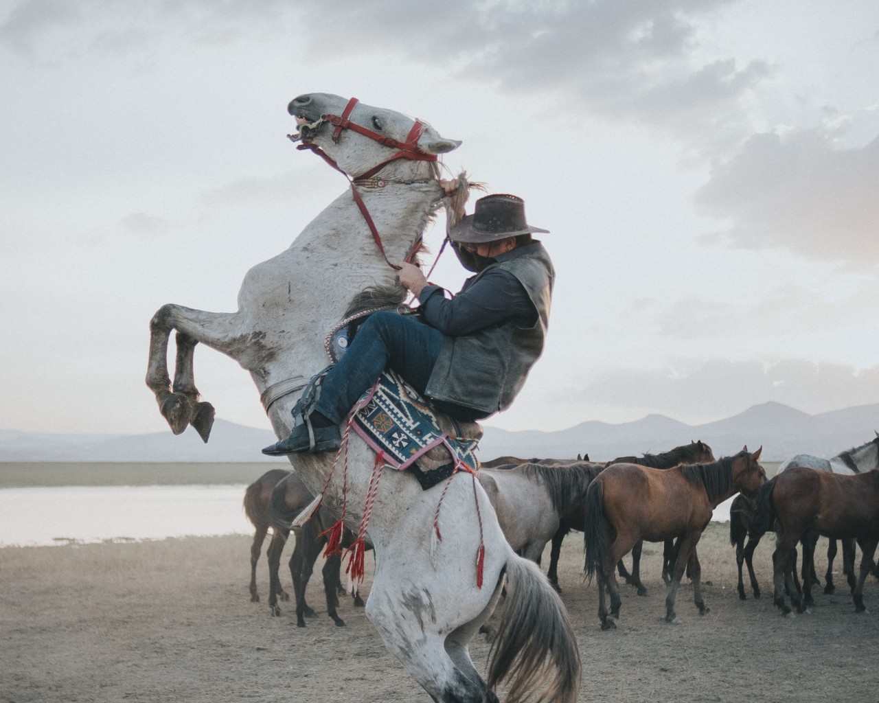 Cowboy on Rearing Horse