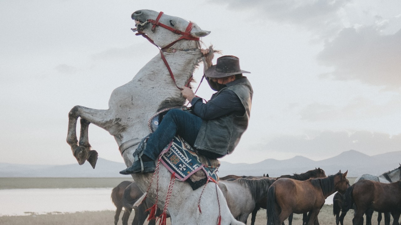 Cowboy on Rearing Horse