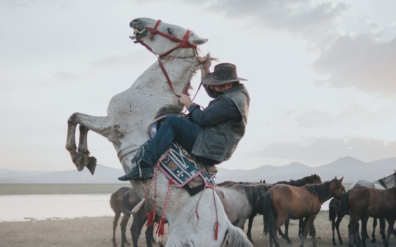 Cowboy on Rearing Horse