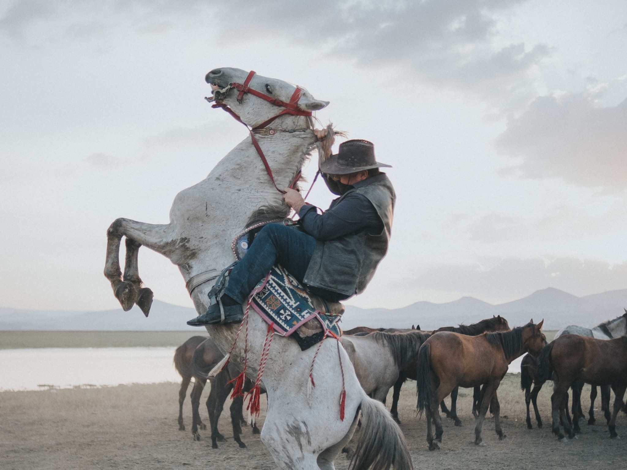 Cowboy on Rearing Horse