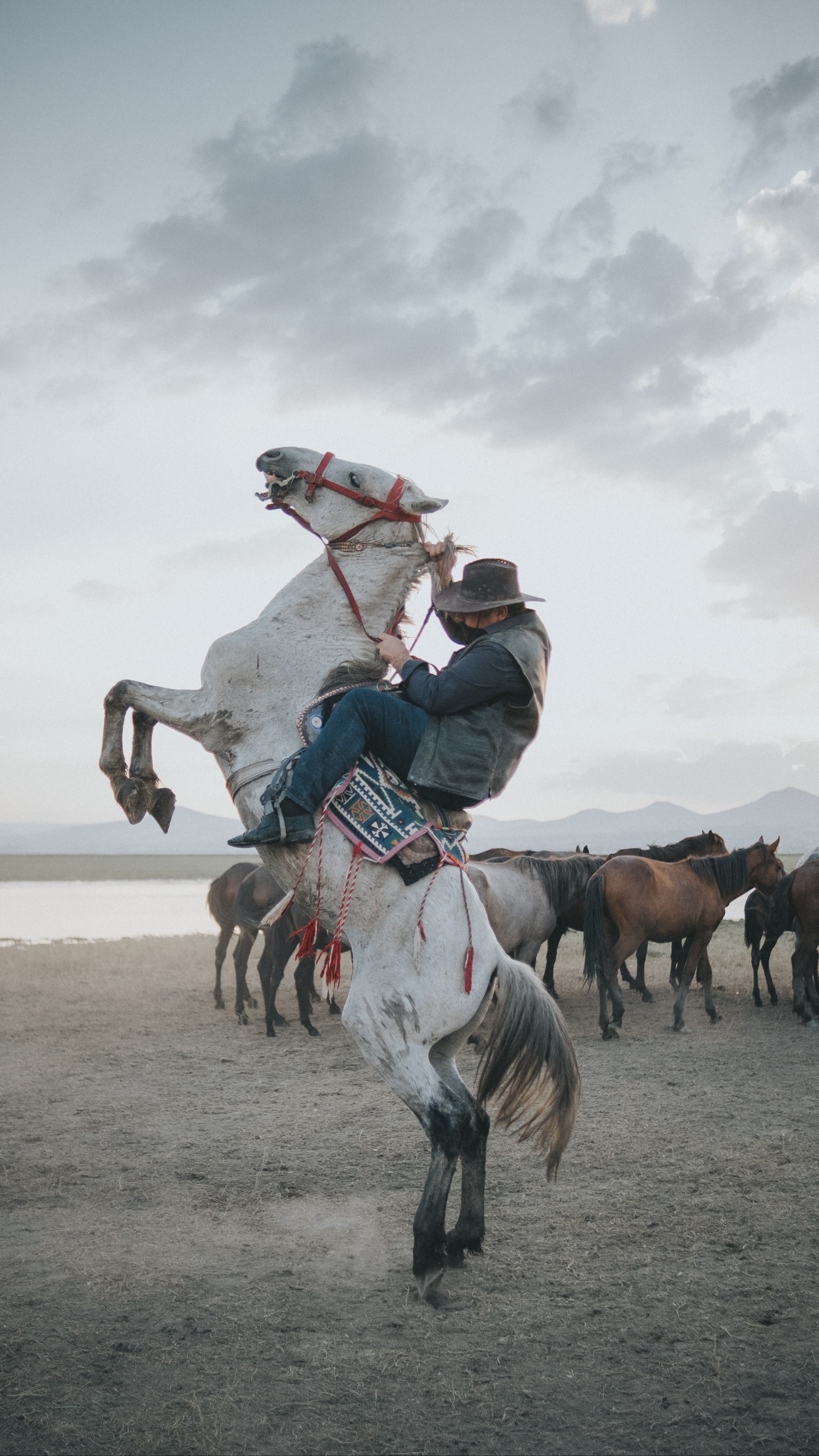 Cowboy on Rearing Horse