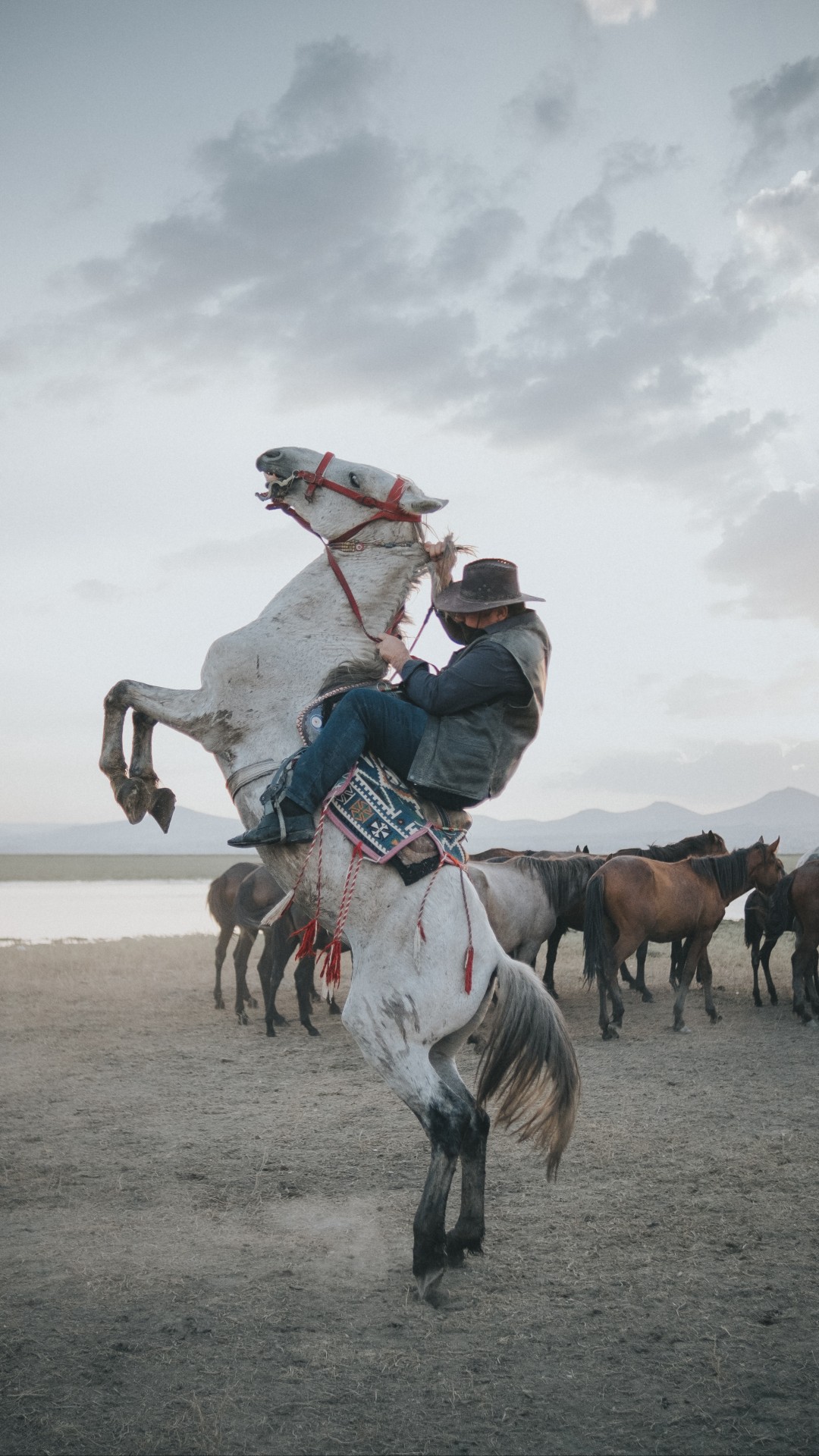 Cowboy on Rearing Horse