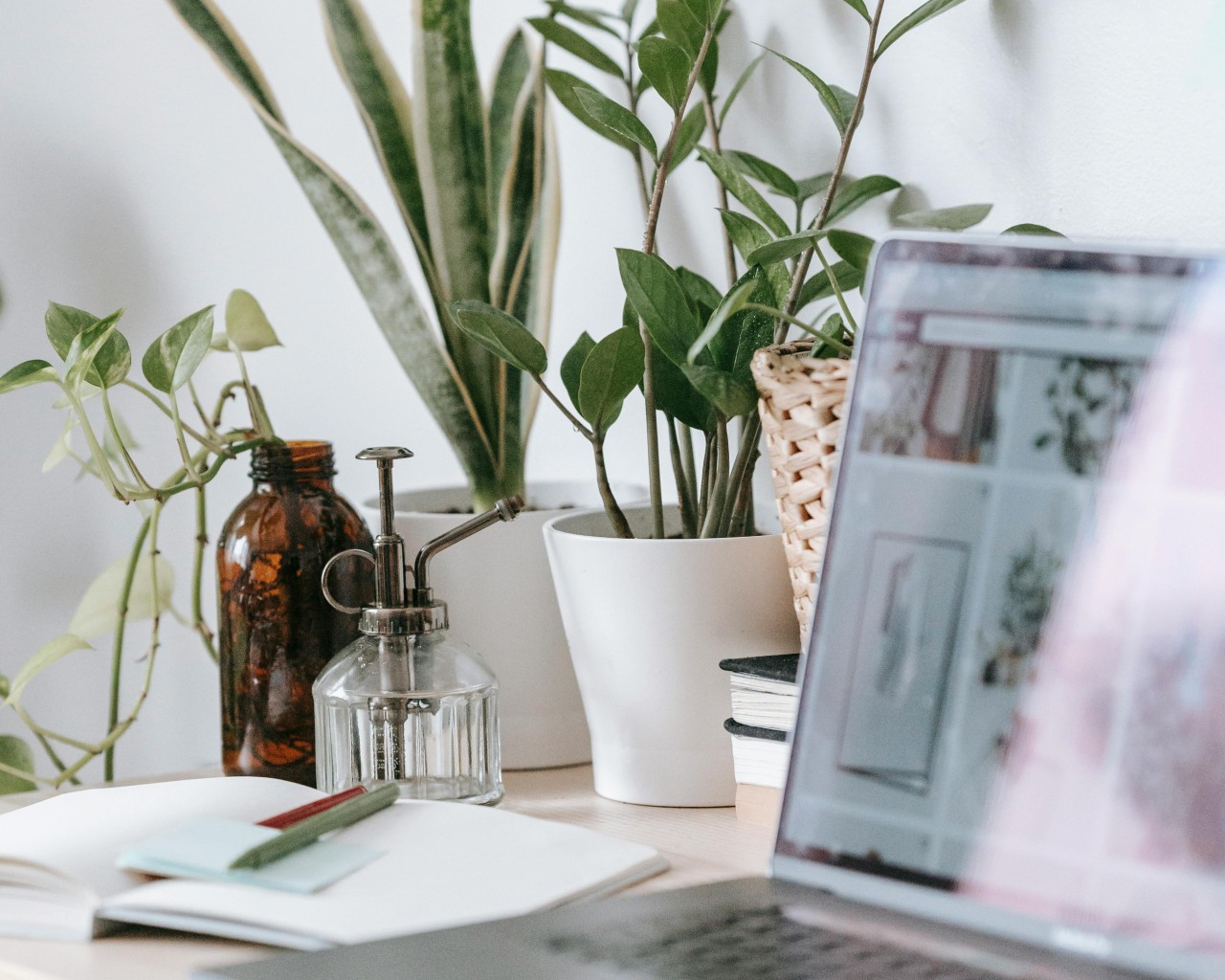 table with modern laptop and green plants