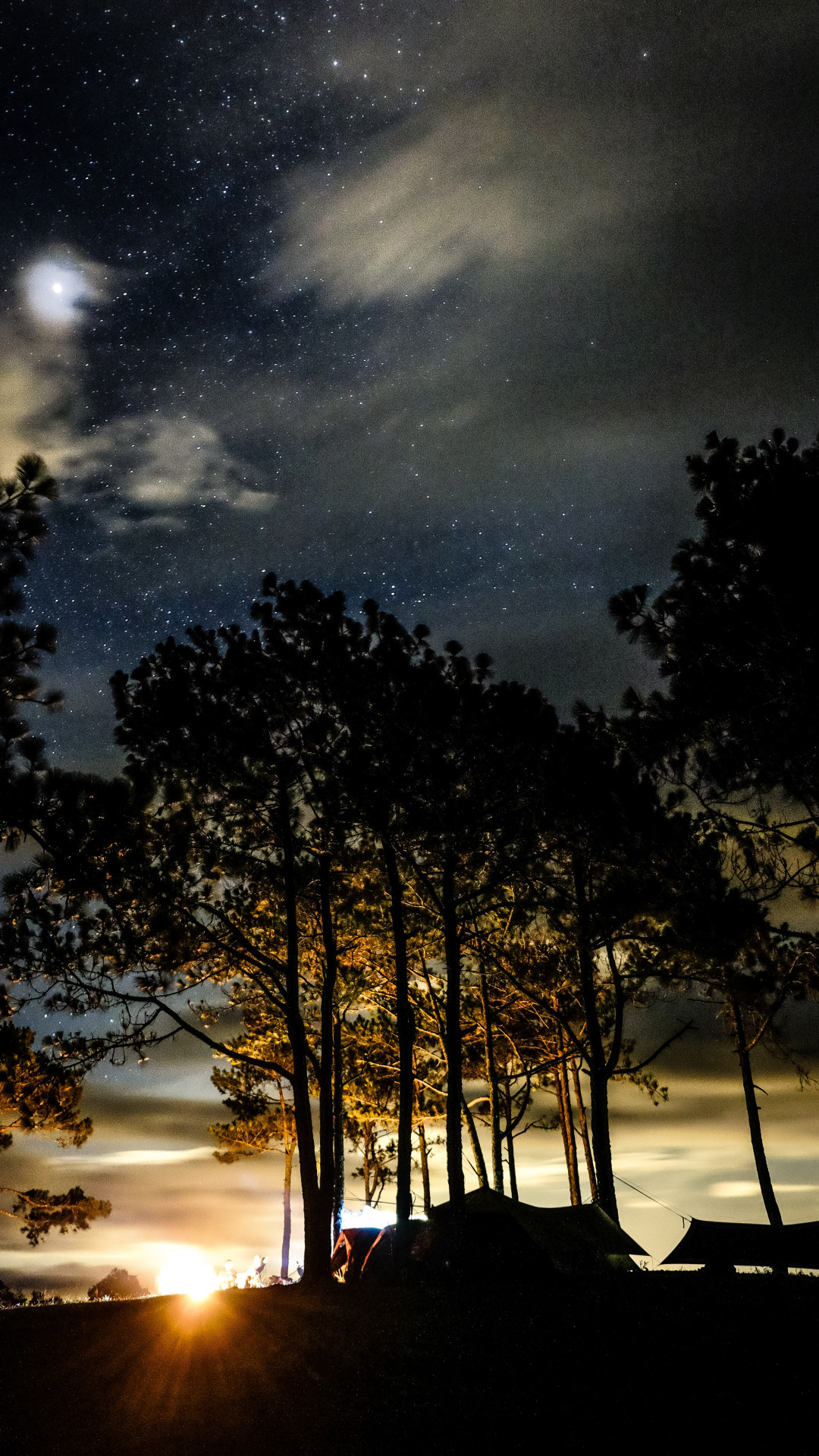 Silhouette of Trees