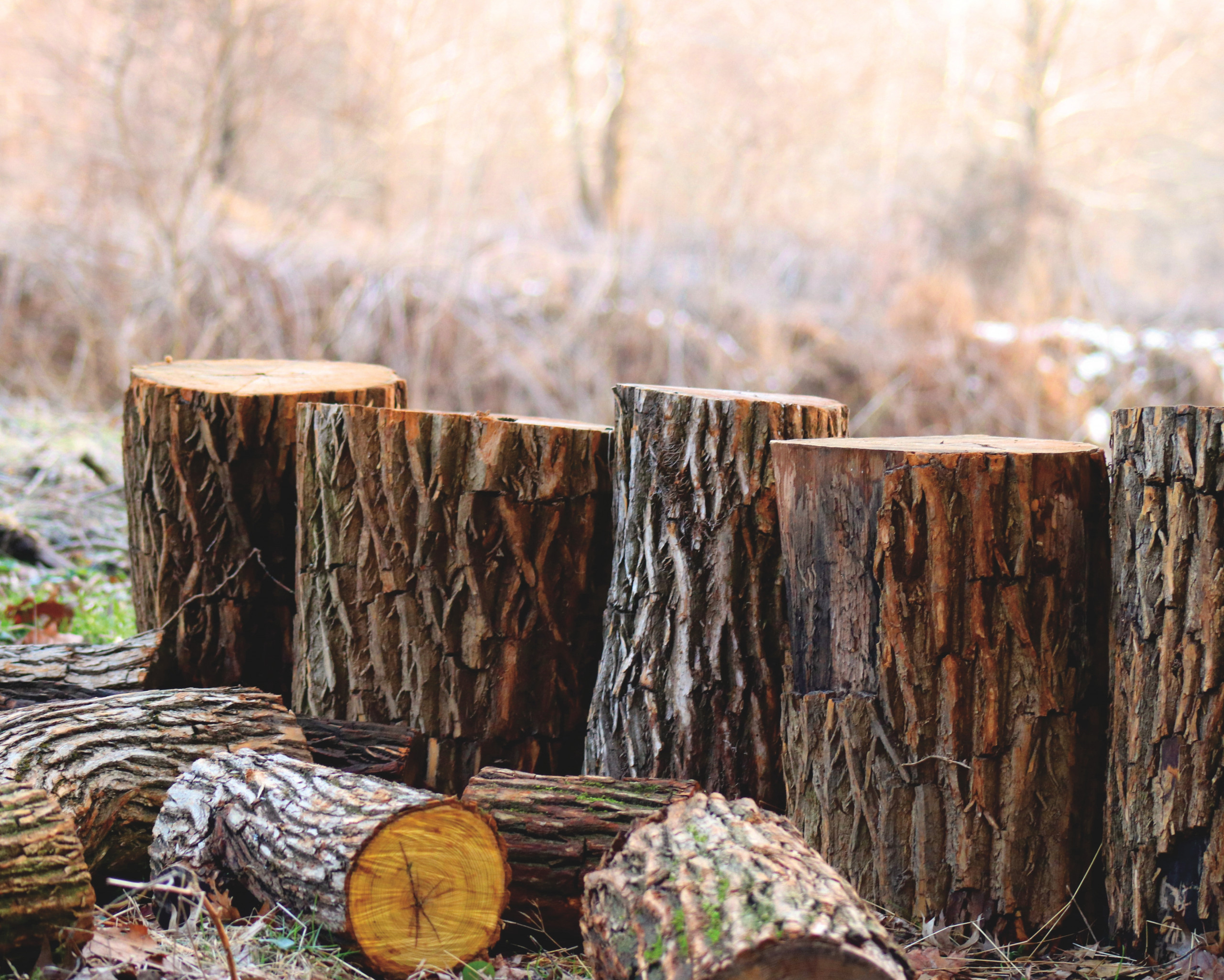 Brown Tree Logs