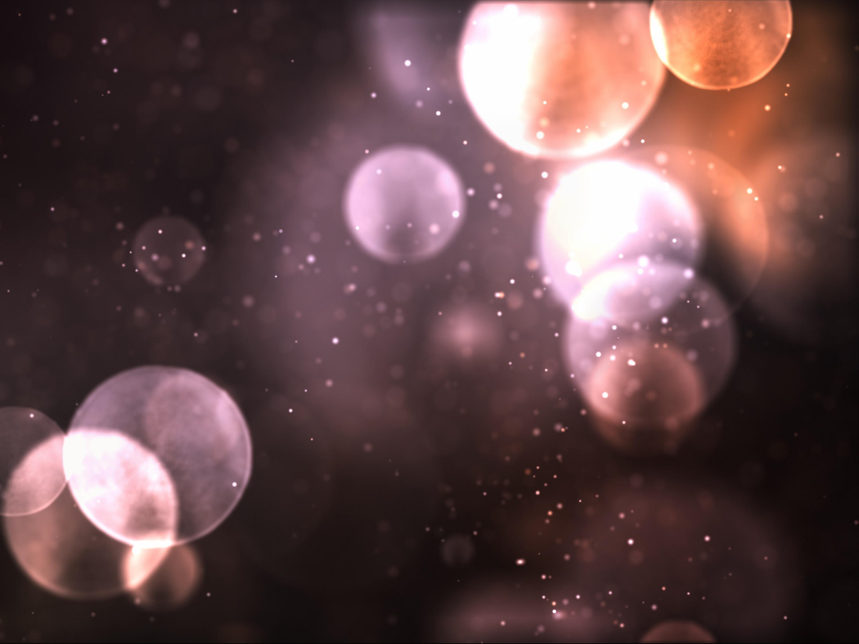 Abstract