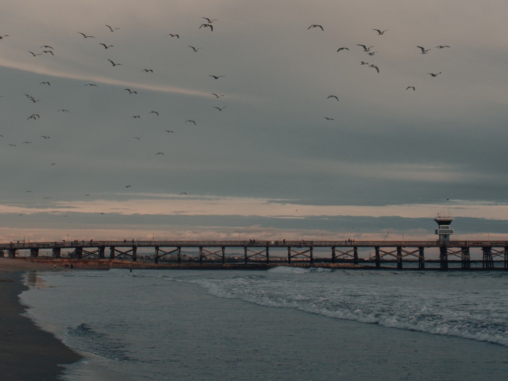 Long pier