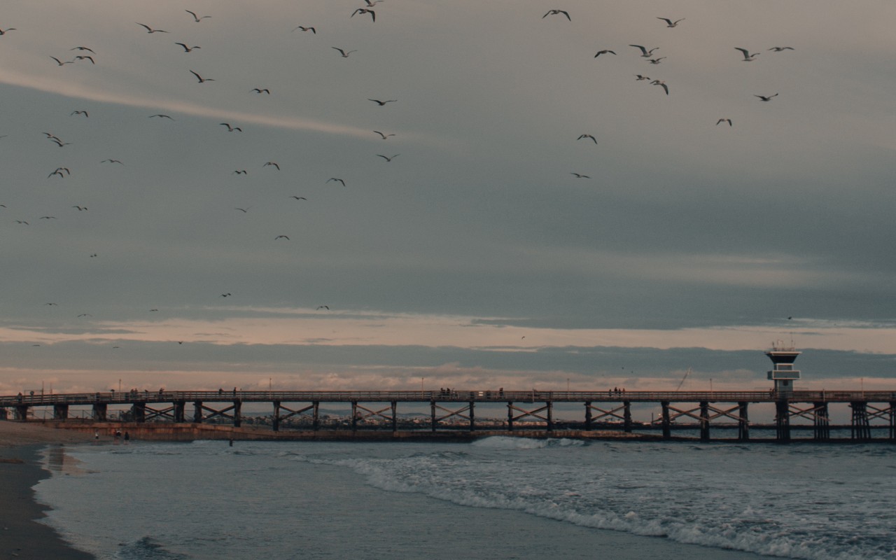 Long pier