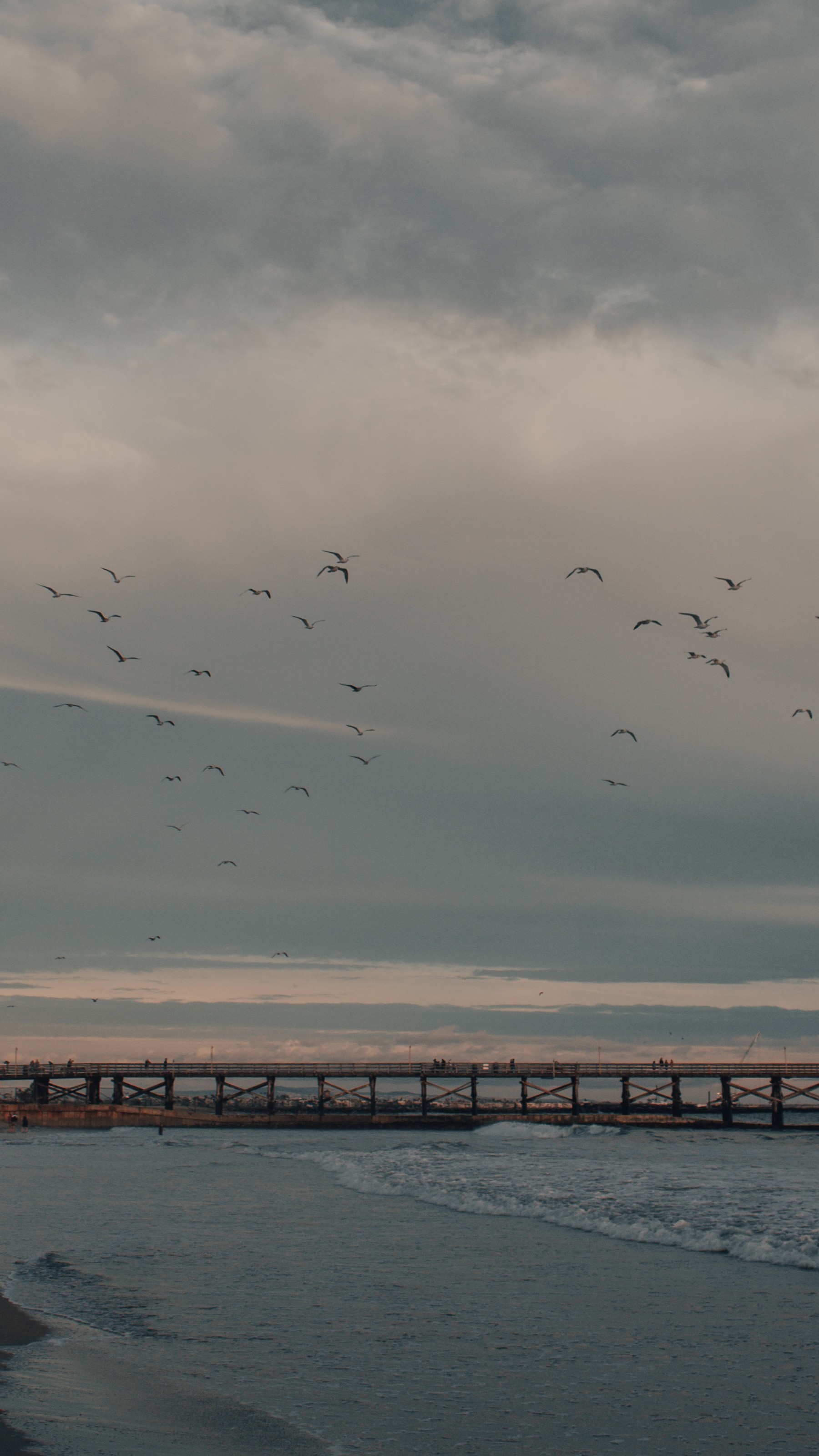 Long pier