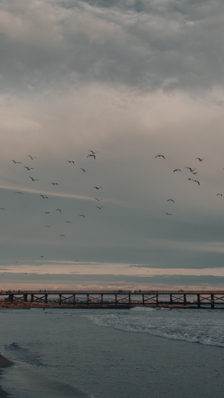 Long pier