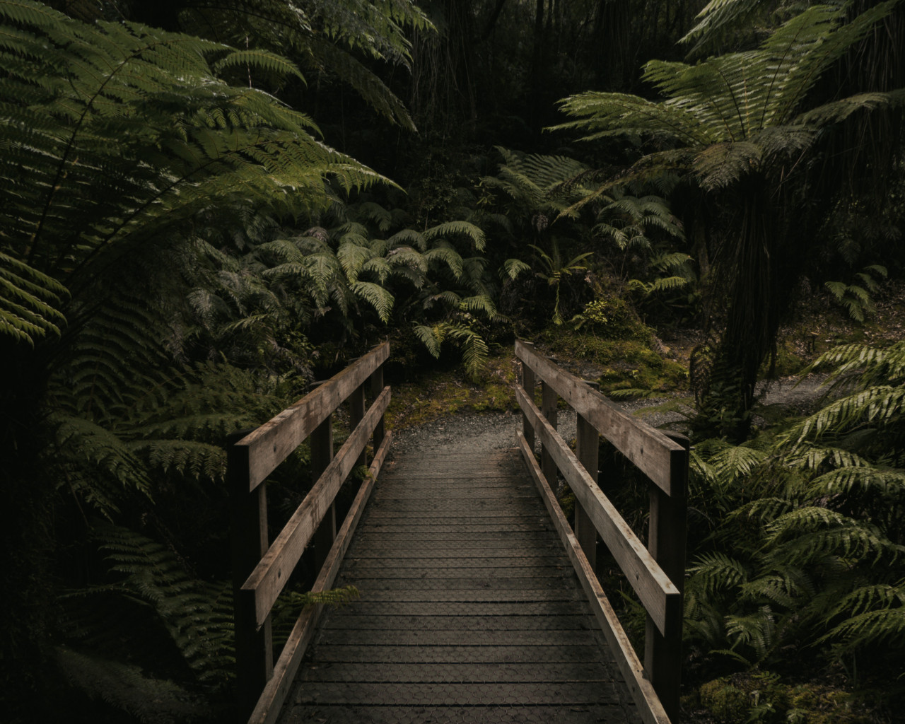 Brown Wooden Bridge Near Forest