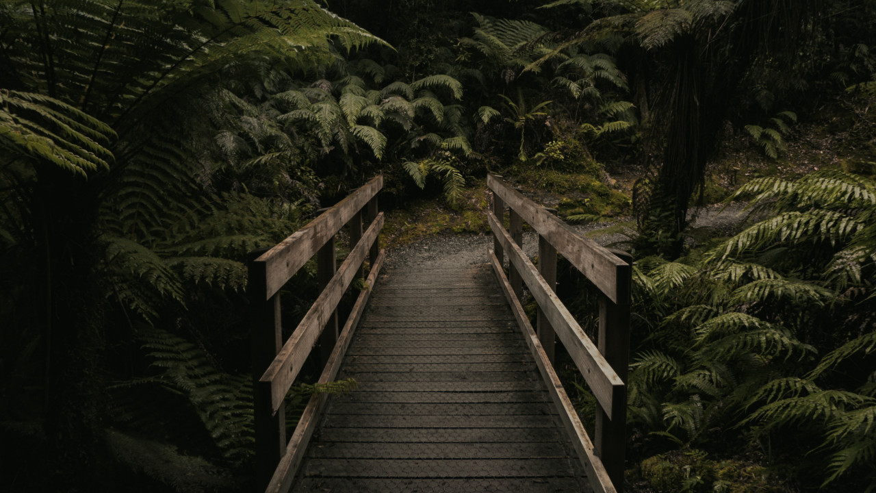 Brown Wooden Bridge Near Forest