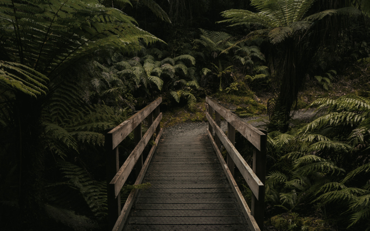 Brown Wooden Bridge Near Forest