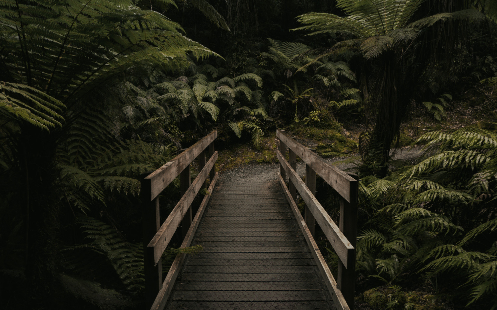 Brown Wooden Bridge Near Forest
