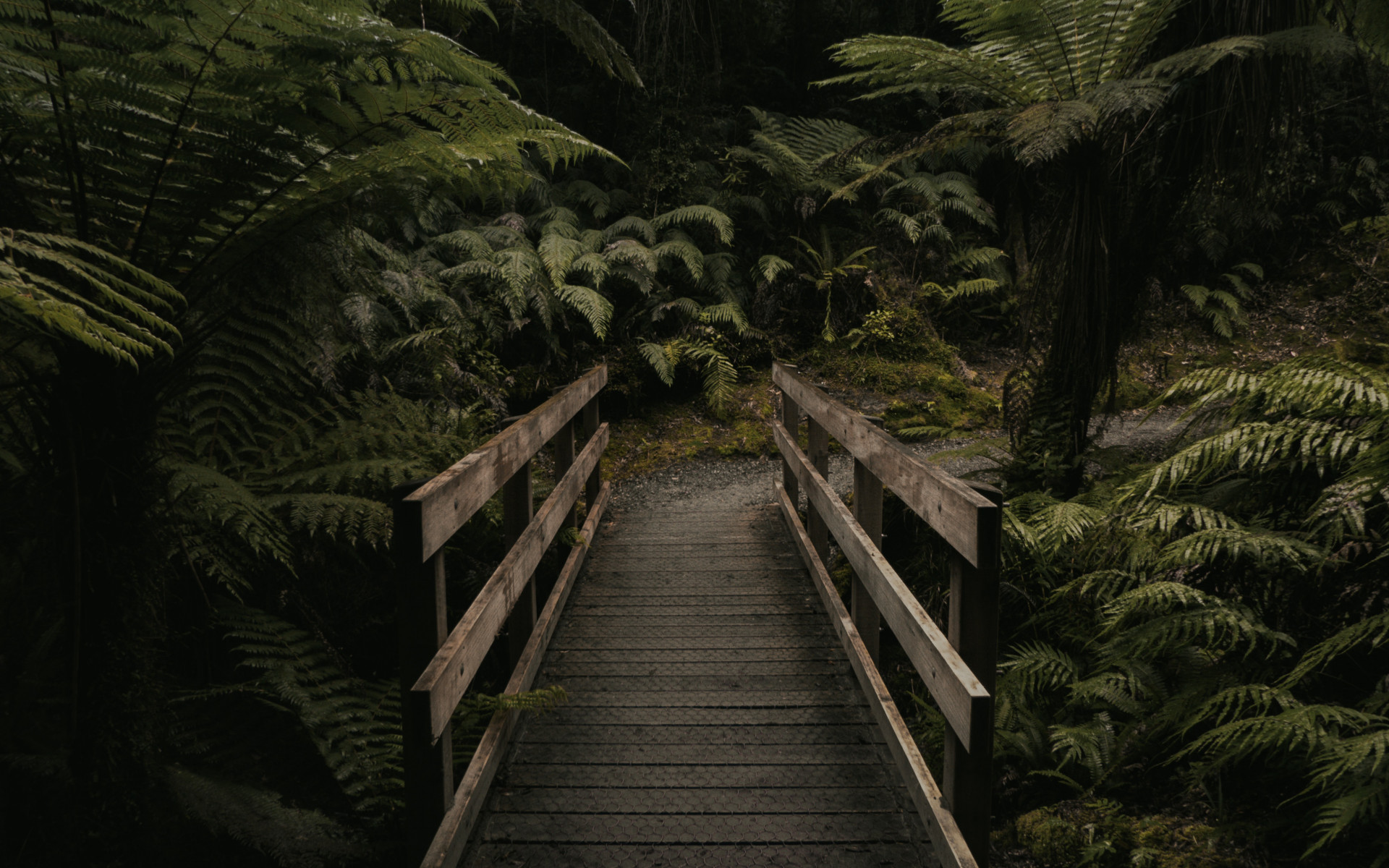 Brown Wooden Bridge Near Forest