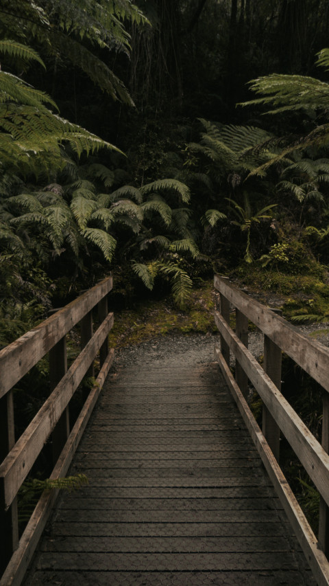 Brown Wooden Bridge Near Forest