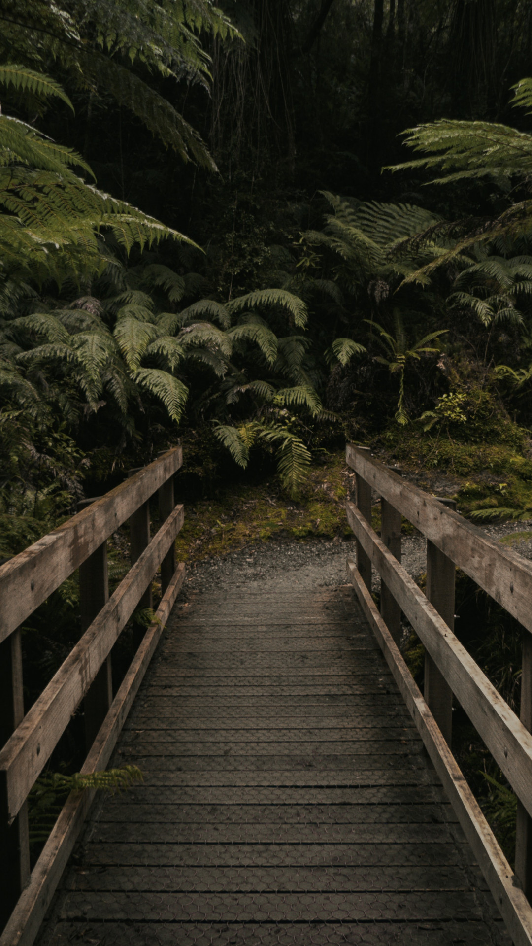 Brown Wooden Bridge Near Forest