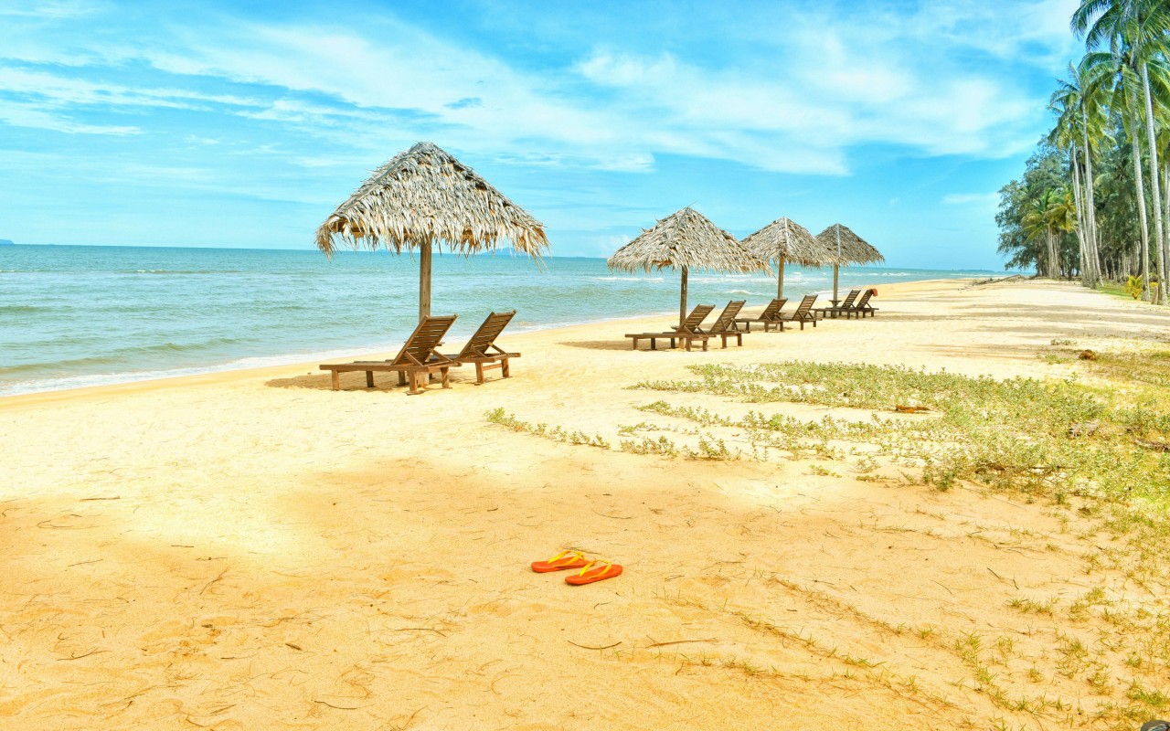Loungers Under Parasol at Shoreline