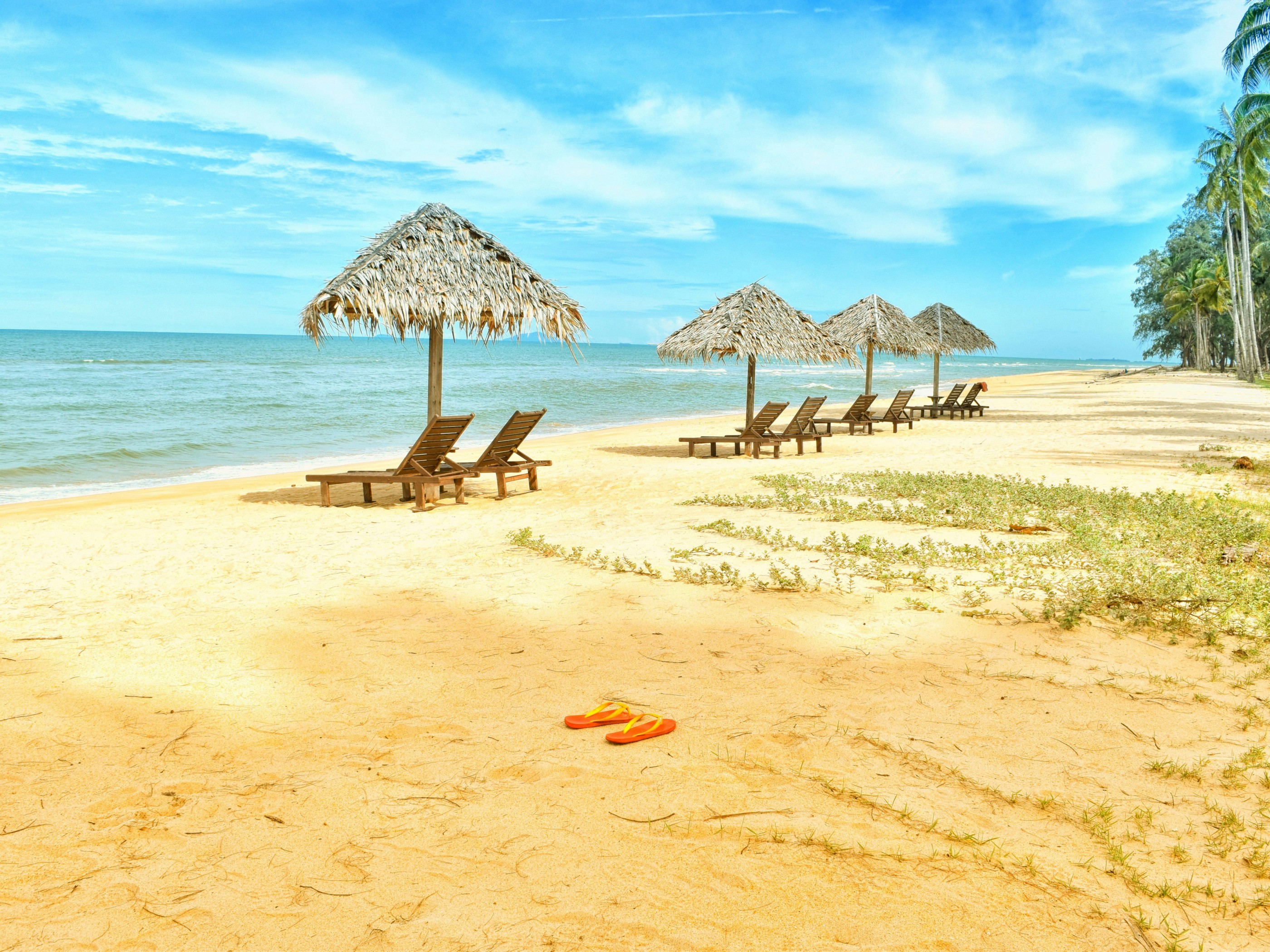 Loungers Under Parasol at Shoreline