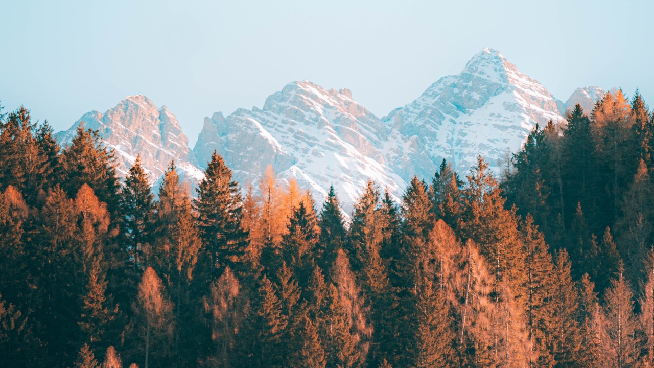 Mountains and Brown Trees