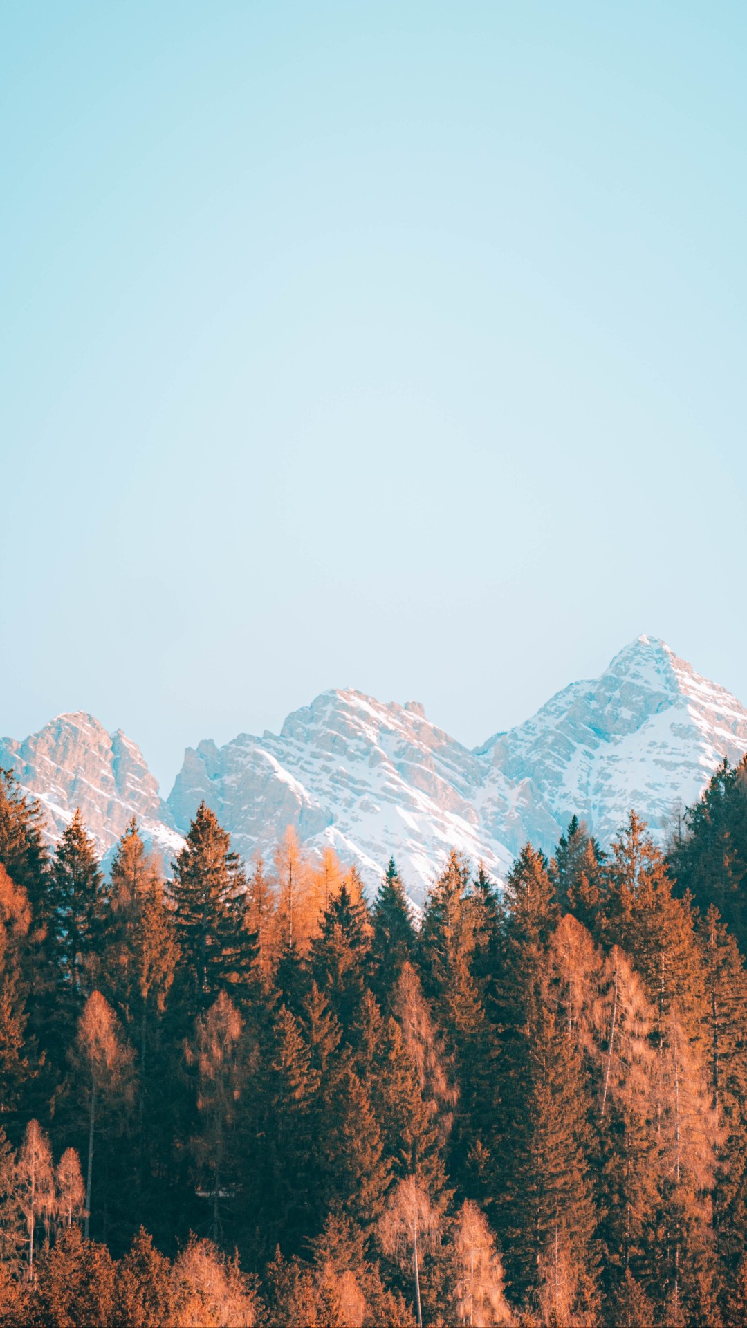 Mountains and Brown Trees