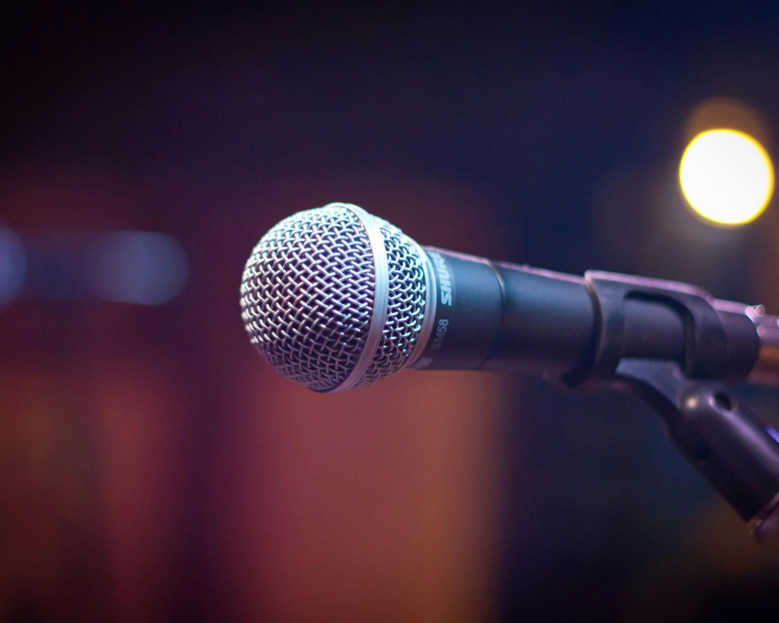 Black and Gray Microphone