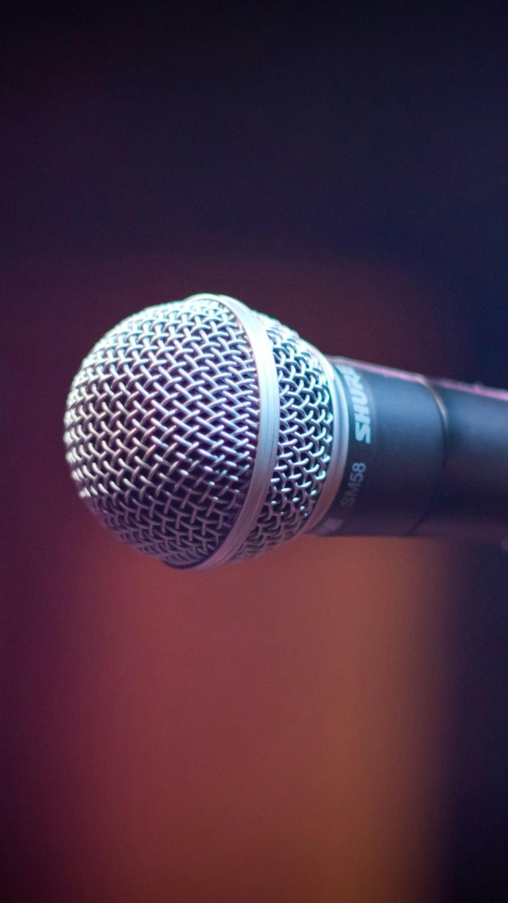 Black and Gray Microphone