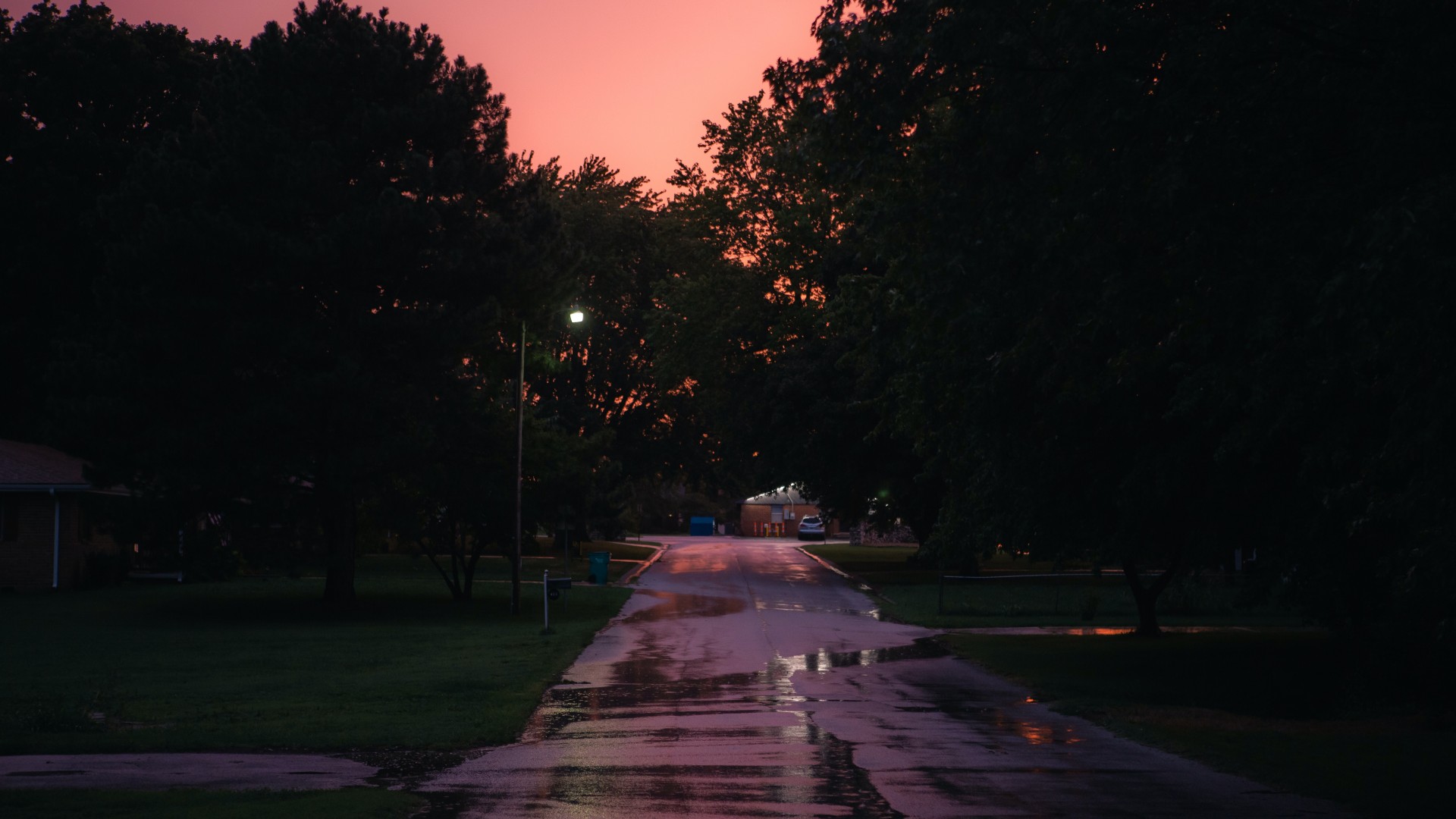 Sunset Street