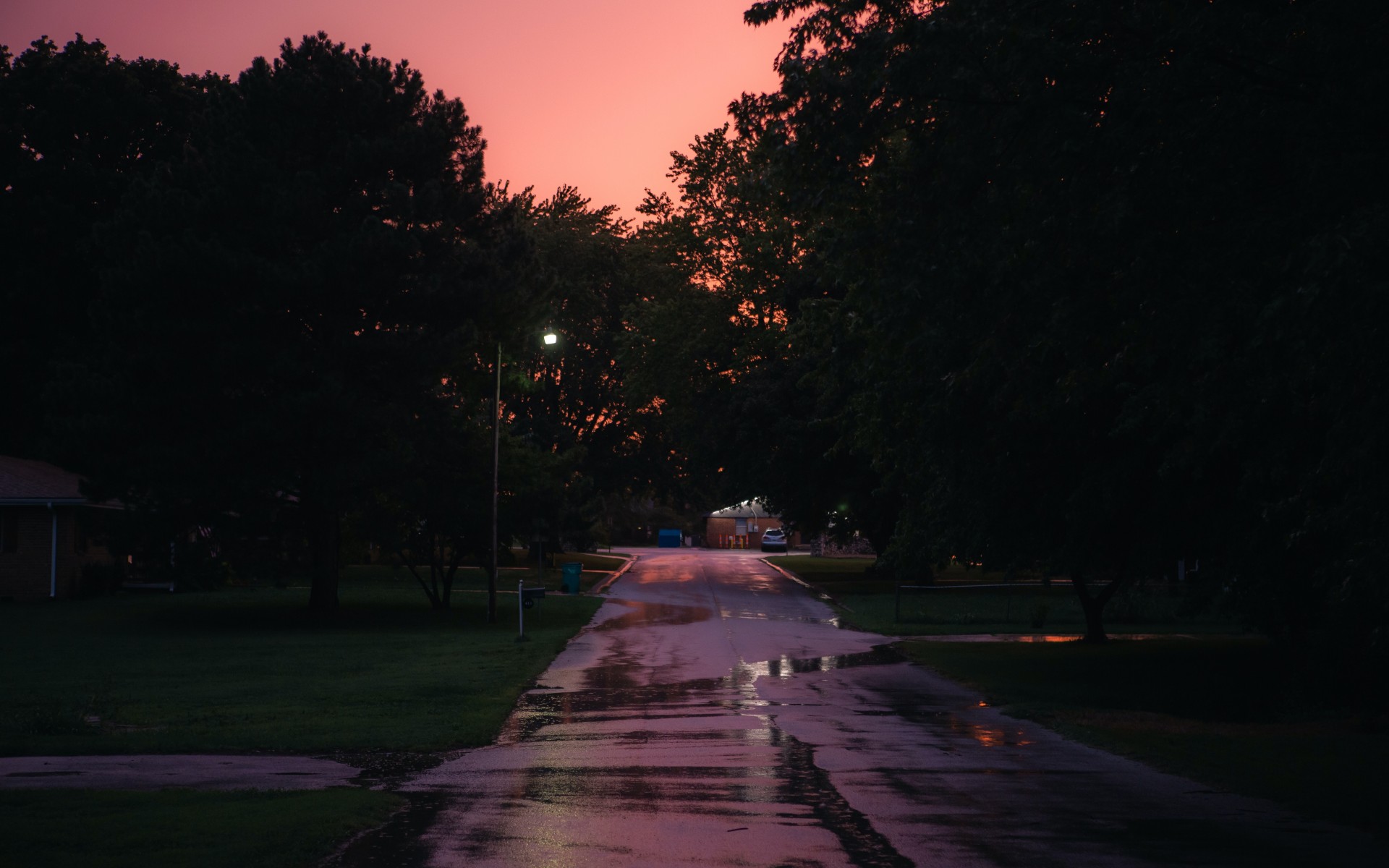 Sunset Street