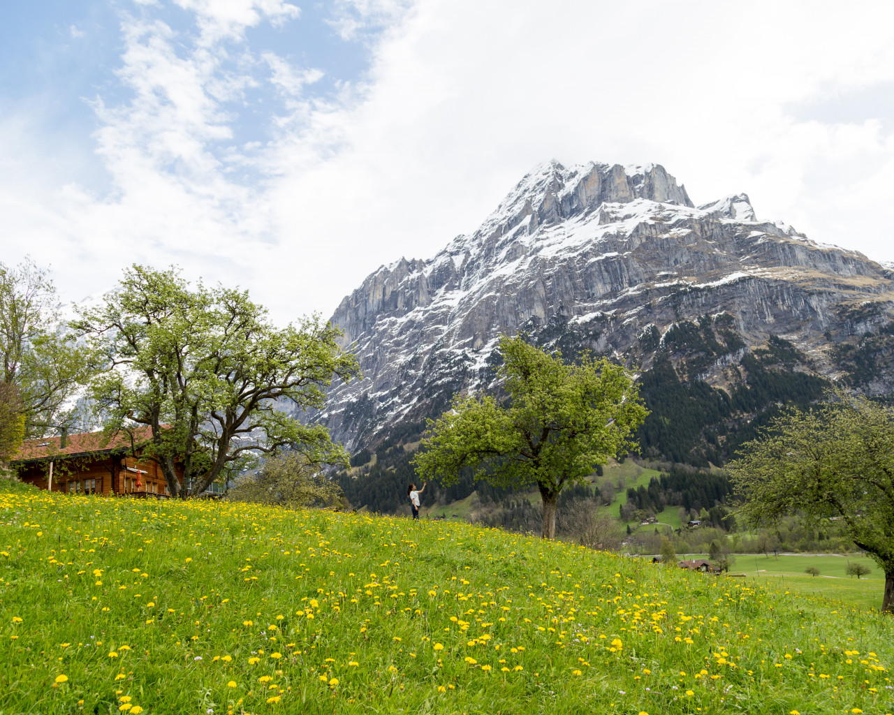 Mountain