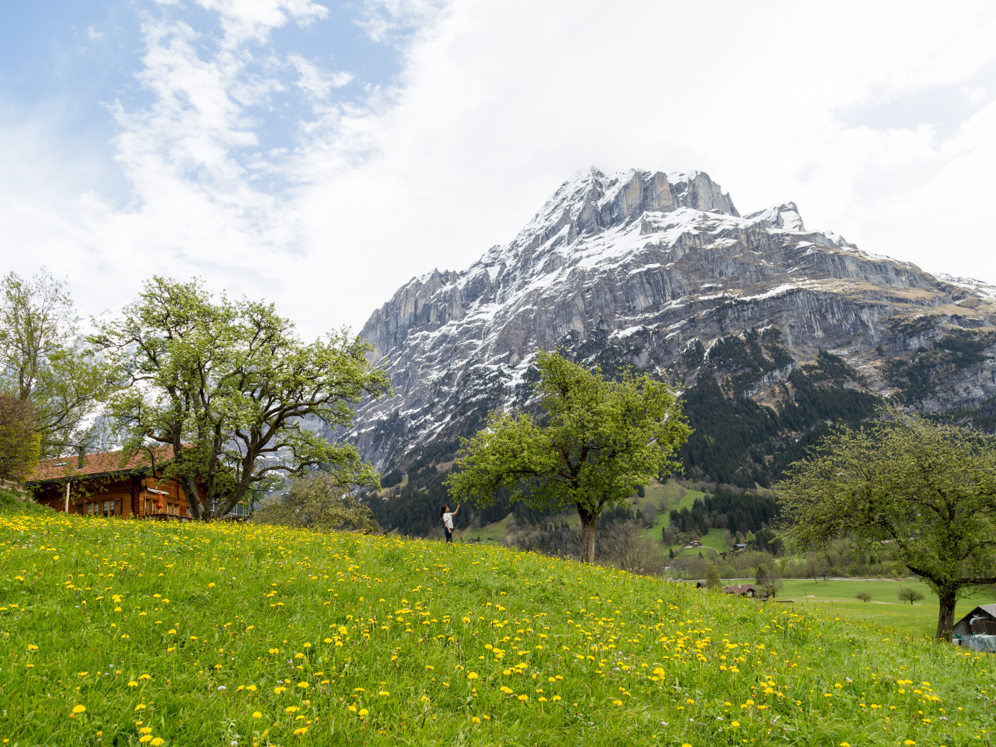Mountain
