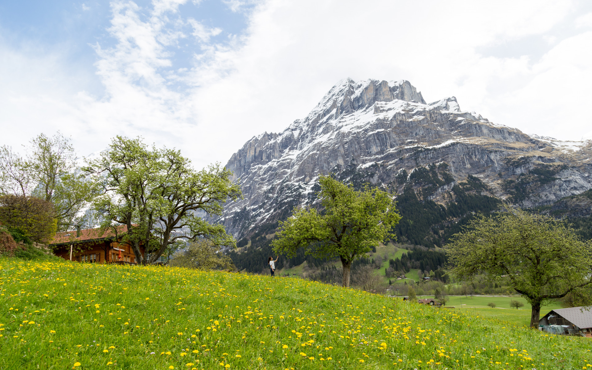Mountain